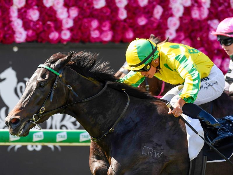 Eagle Farm Epic | Just Horse Racing