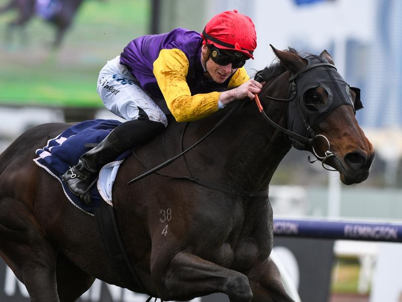 Flemington Jinda | Just Horse Racing