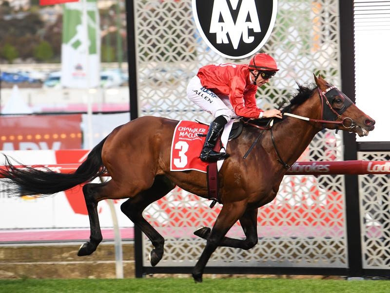 Flemington Preview | Just Horse Racing
