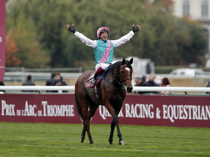 Gallops Enable | Just Horse Racing
