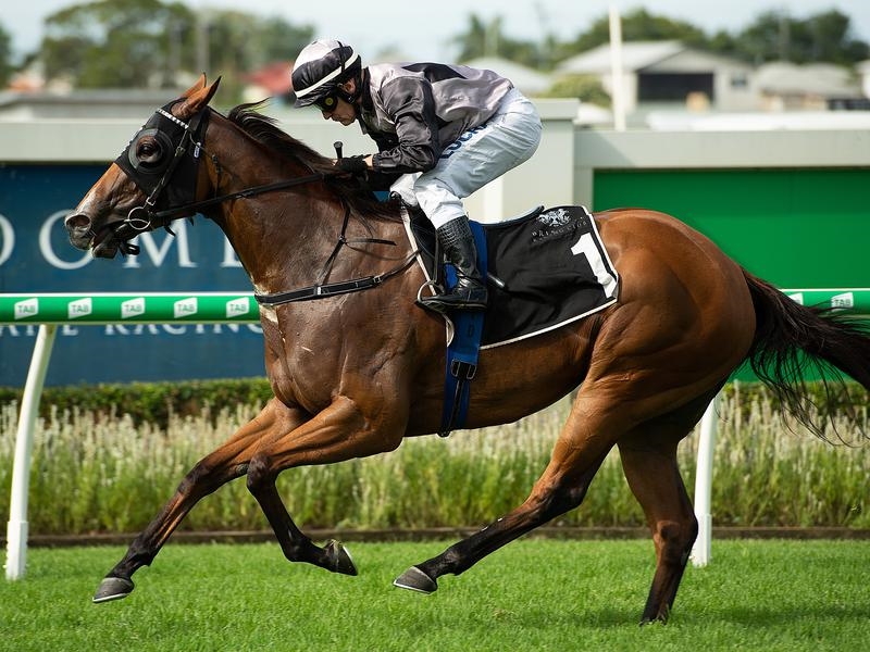 Gallops Houtzen | Just Horse Racing