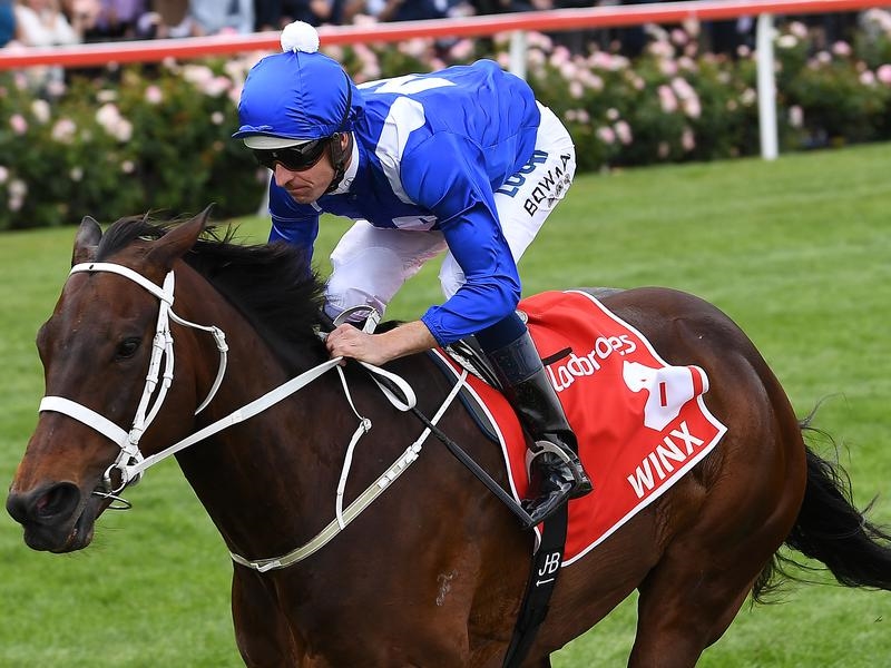 Gallops Plate | Just Horse Racing