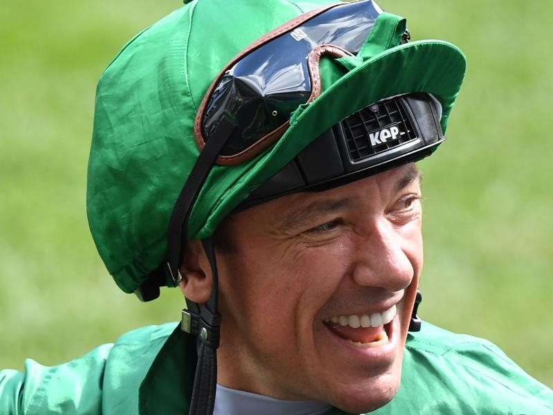 Gallops Sussex | Just Horse Racing