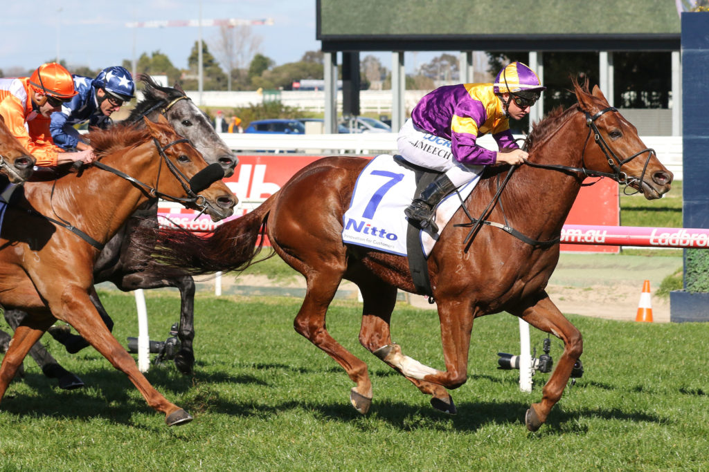 Guizot_17-08-2019_WIN_Caulfield_3__446 | Just Horse Racing