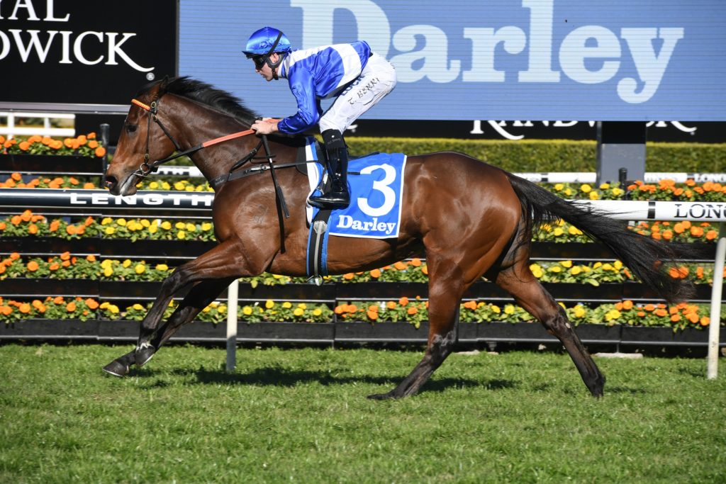 Libertini 240819 8681 | Just Horse Racing