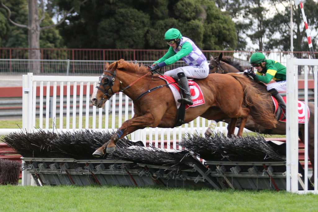 Master Poet_04-08-2019_WIN_Sandown_5__861 | Just Horse Racing