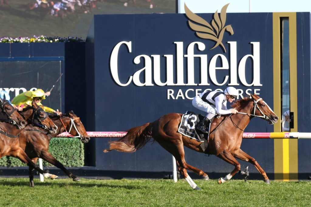 Pippie,Cockram Stakes,Group 3_31-08-2019_WIN_Caulfield_7__1190 | Just Horse Racing