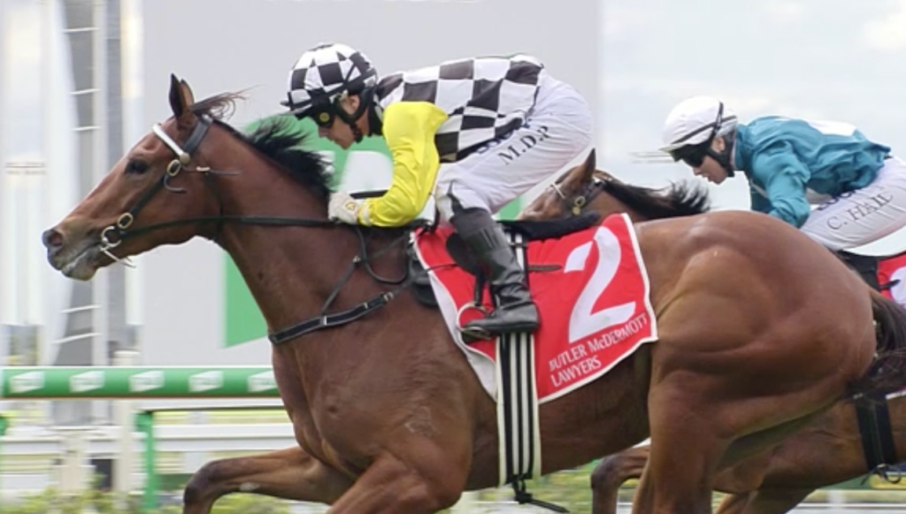 Profit | Just Horse Racing