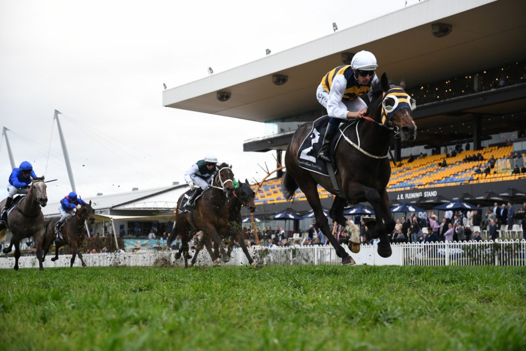 Quick Thinker 310819 3108 | Just Horse Racing