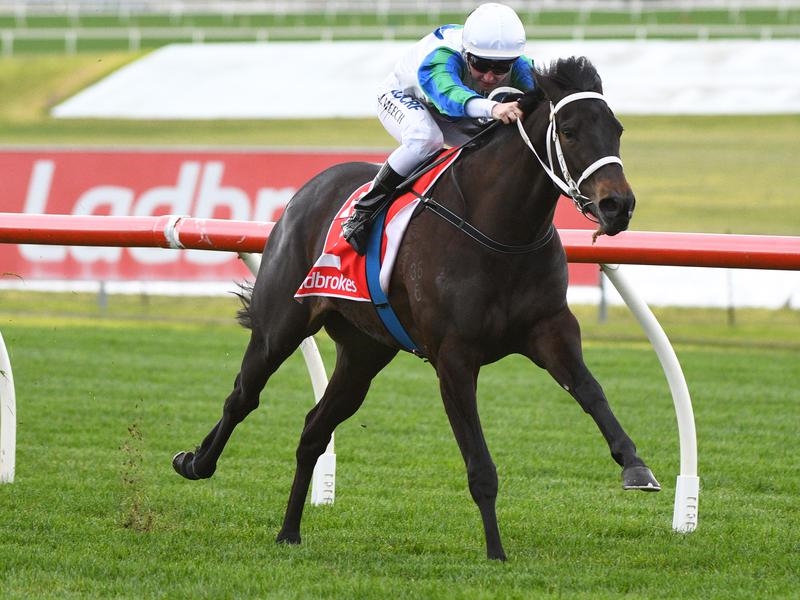 Sandown | Just Horse Racing