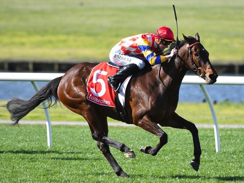 Sandown | Just Horse Racing