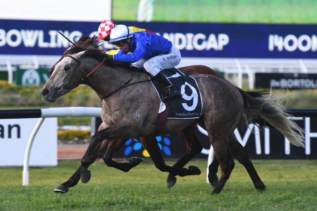 Subedar 100819 6173 | Just Horse Racing