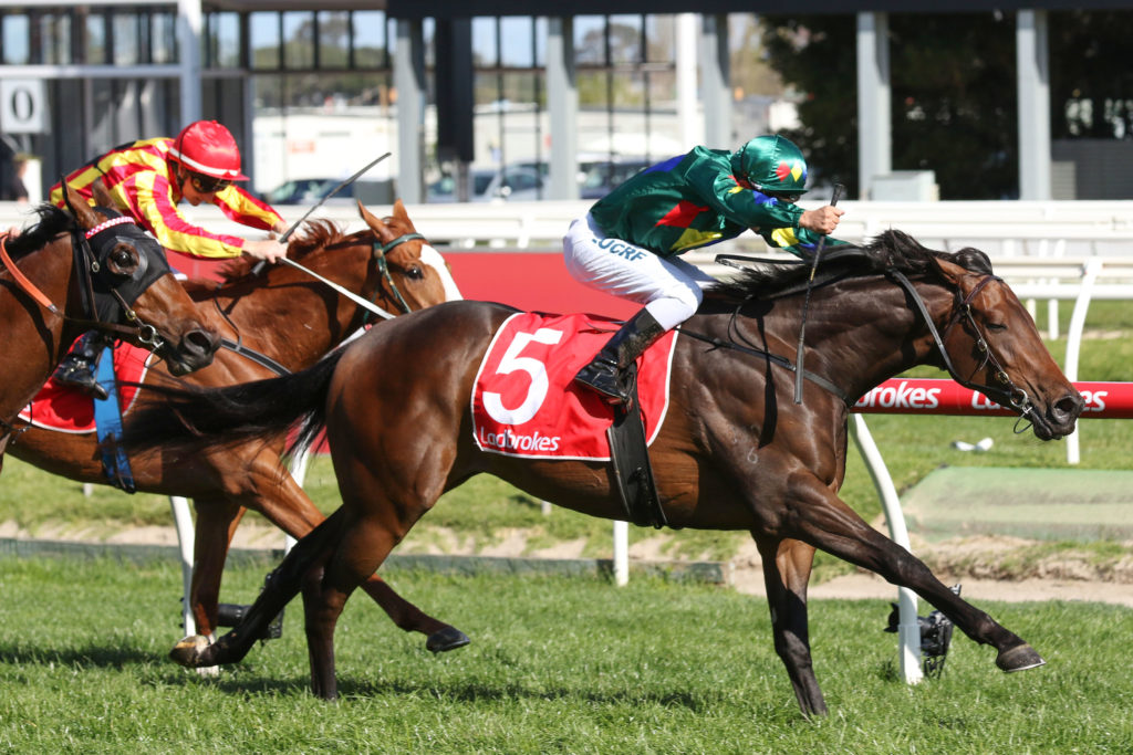 Alligator Blood,Caulfield Guineas Prelude,Group 3_29-09-2019_WIN_Caulfield_5__2366 | Just Horse Racing