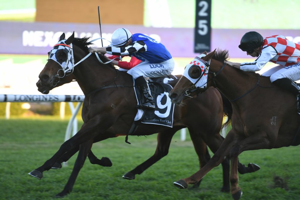 Articus 070919 3238 | Just Horse Racing