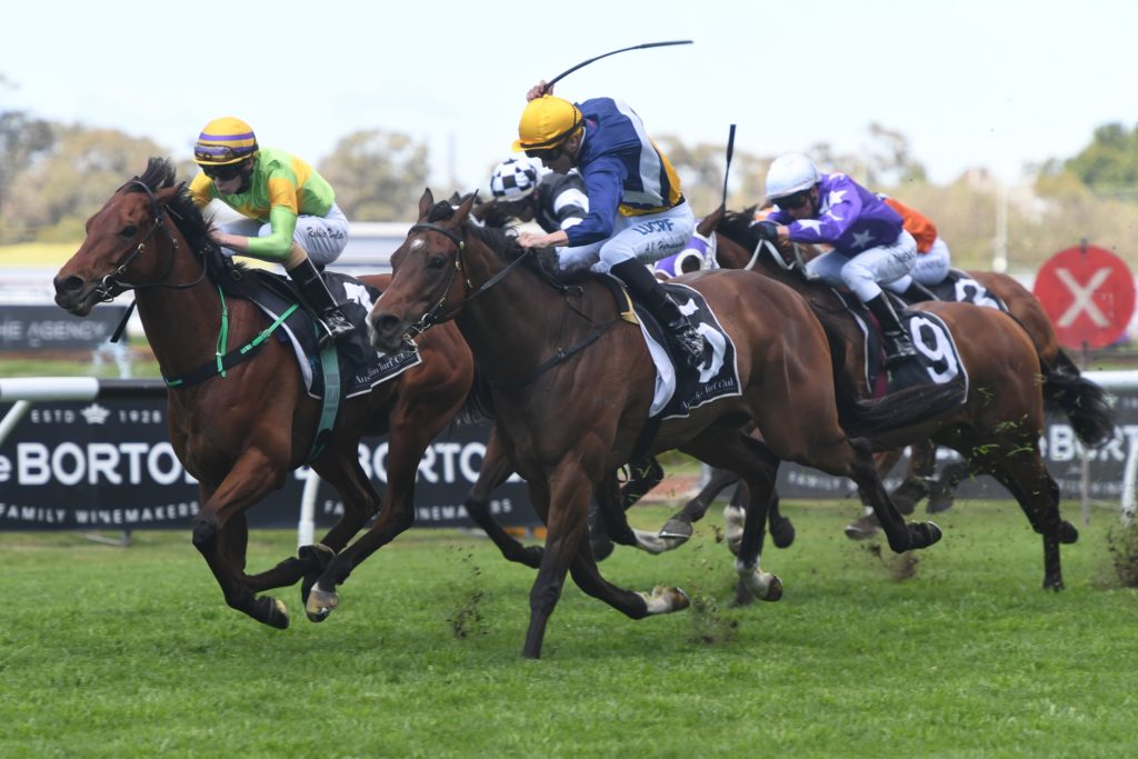 Dr Drill 280919 8366 | Just Horse Racing