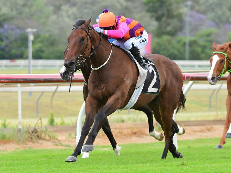 Eagle Farm Digby | Just Horse Racing