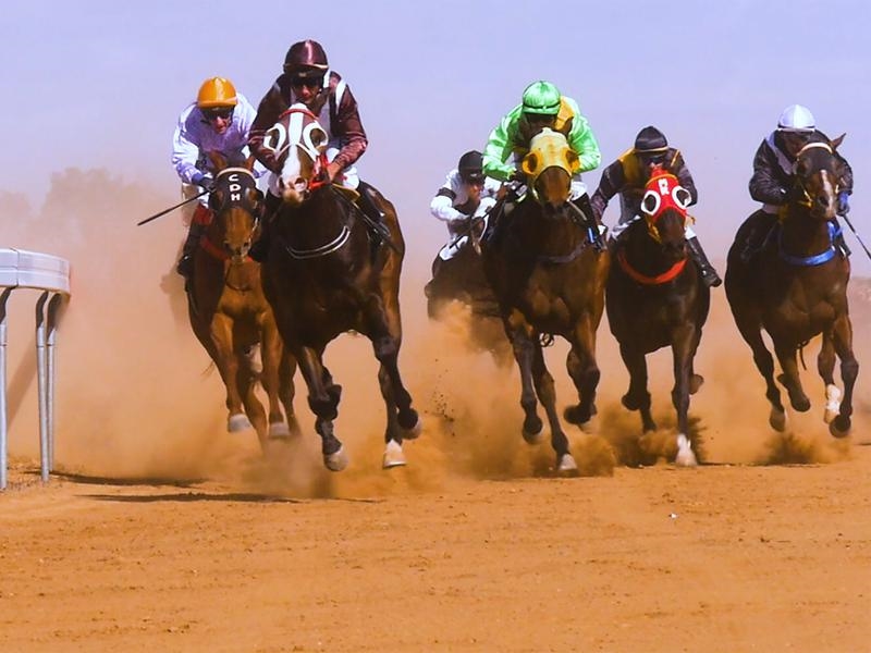 Gallops Drought | Just Horse Racing