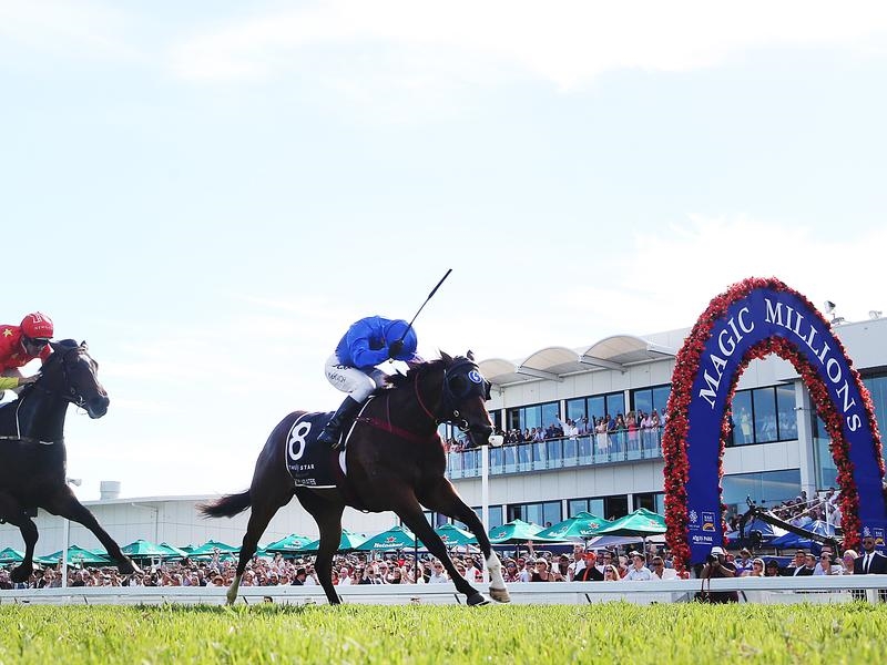 Gallops Millions | Just Horse Racing