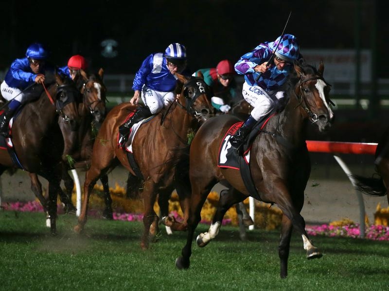 Gallops Princess | Just Horse Racing