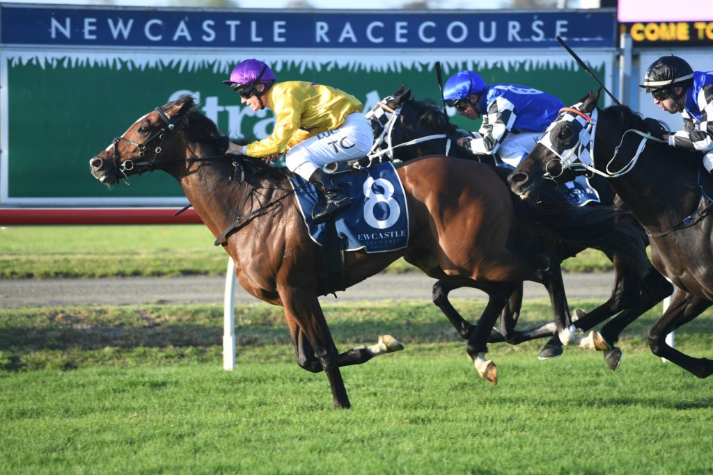 Hush Writer 200919 6084 | Just Horse Racing