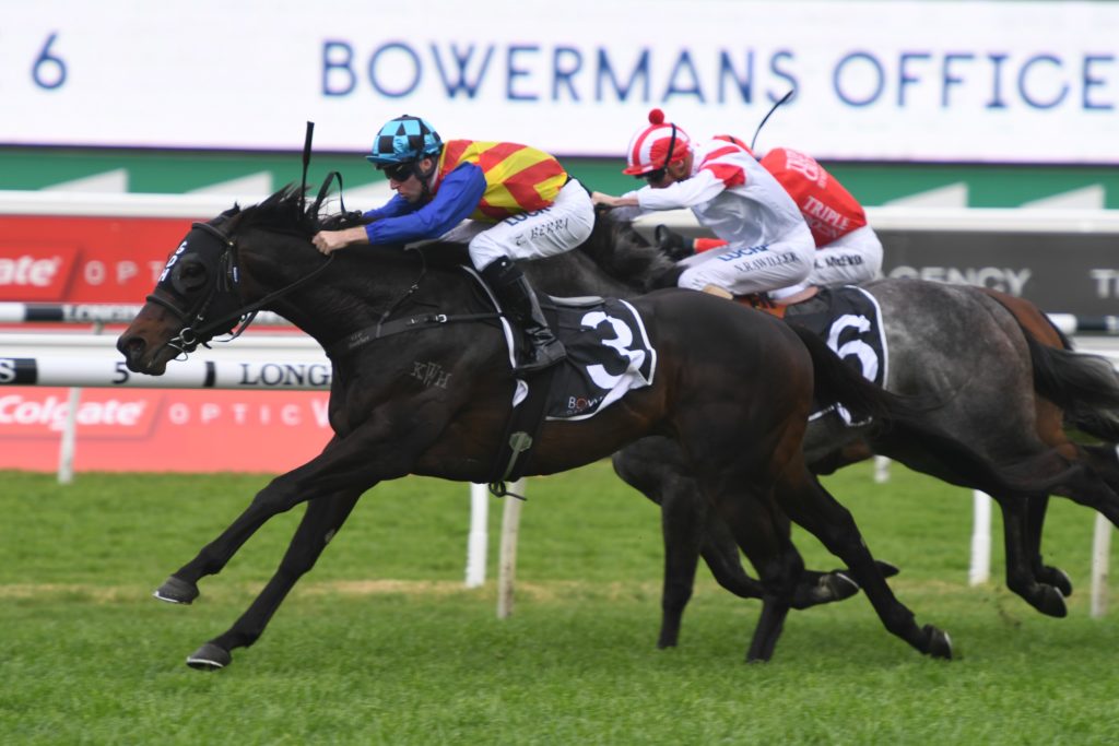 Pierata 210919 7207 | Just Horse Racing