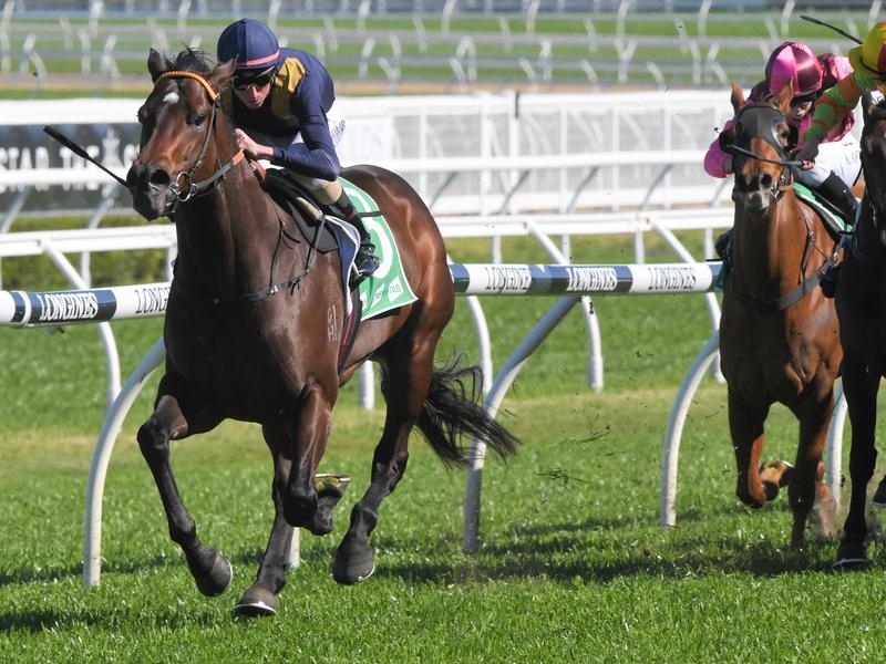 Randwick Baller | Just Horse Racing