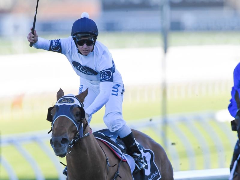 Randwick Chelmsford | Just Horse Racing