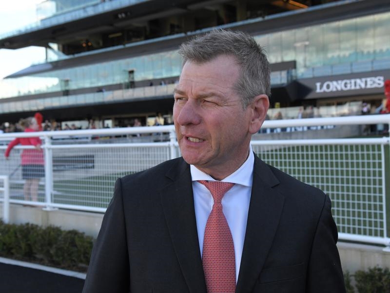 Randwick Shorts | Just Horse Racing