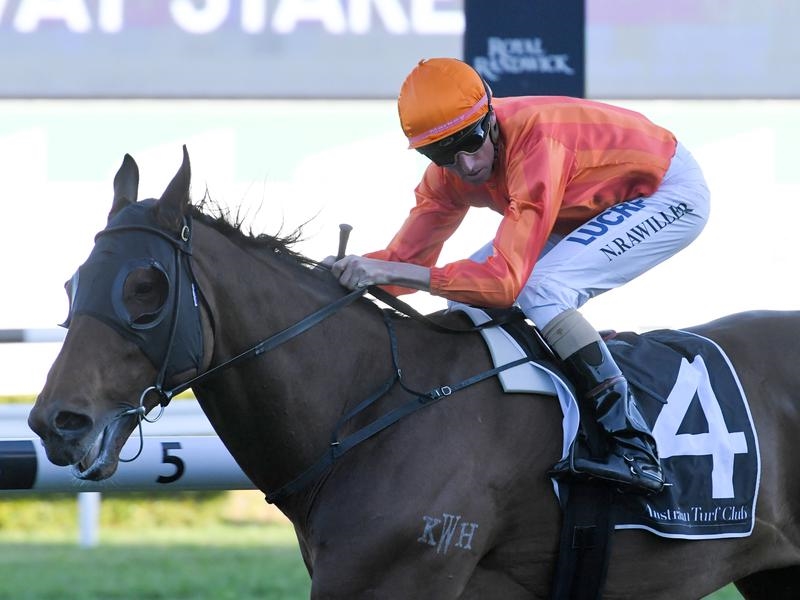 Randwick Tramway | Just Horse Racing