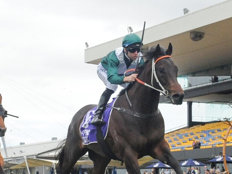 Rosehill Exceedance | Just Horse Racing