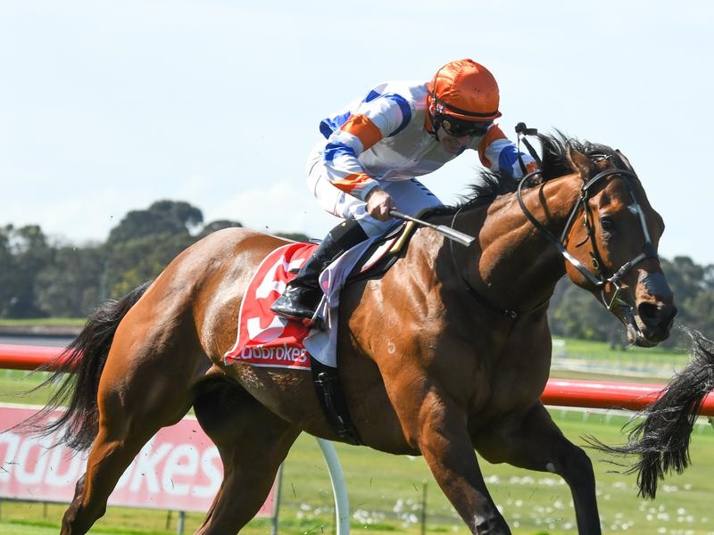 Sandown | Just Horse Racing