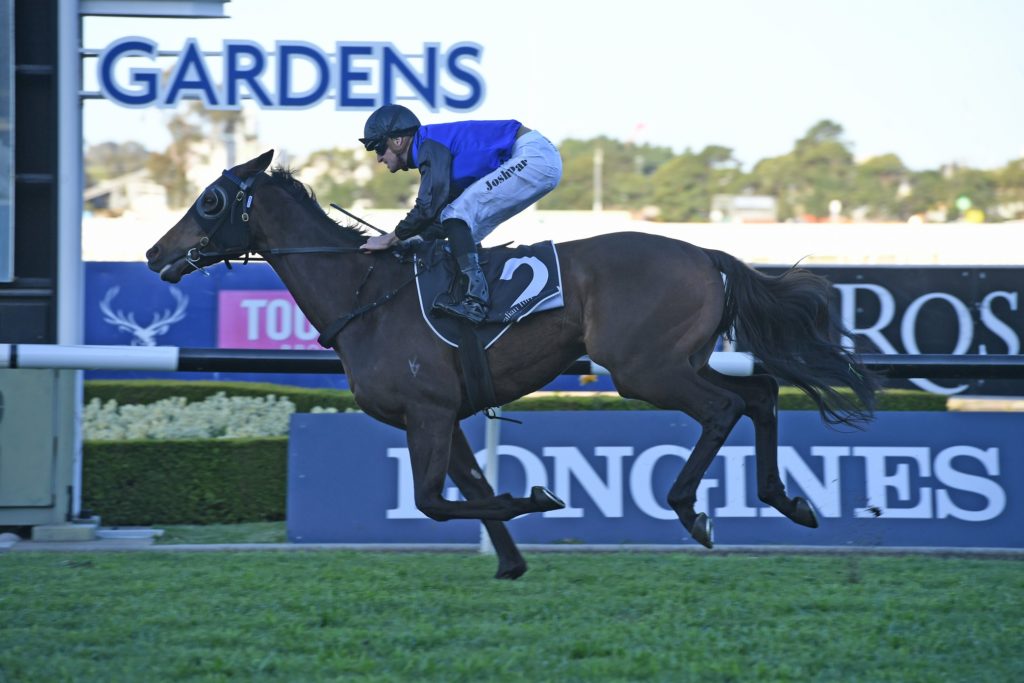 Shadow Hero 280919 9331 | Just Horse Racing