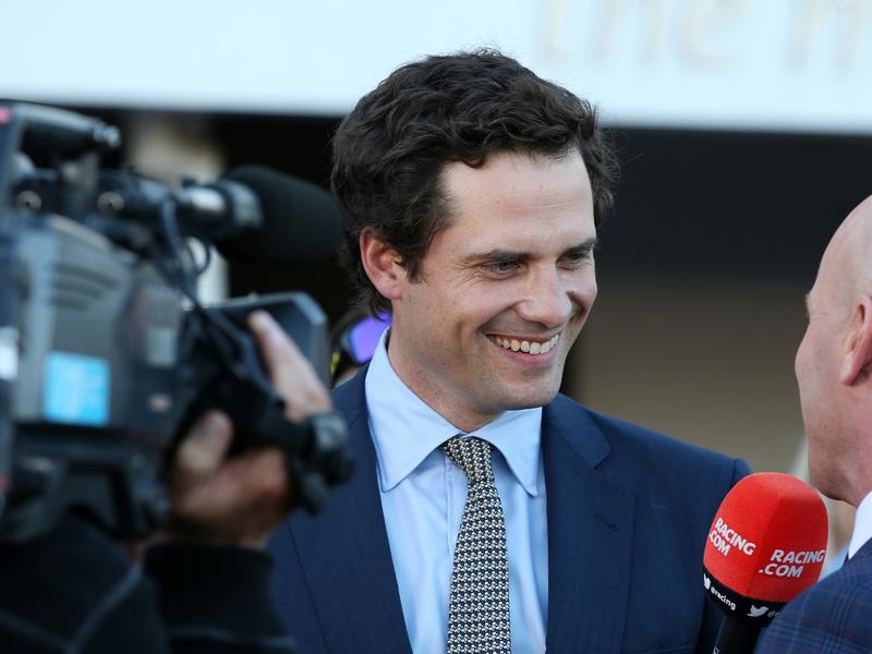 Valley Duretto | Just Horse Racing