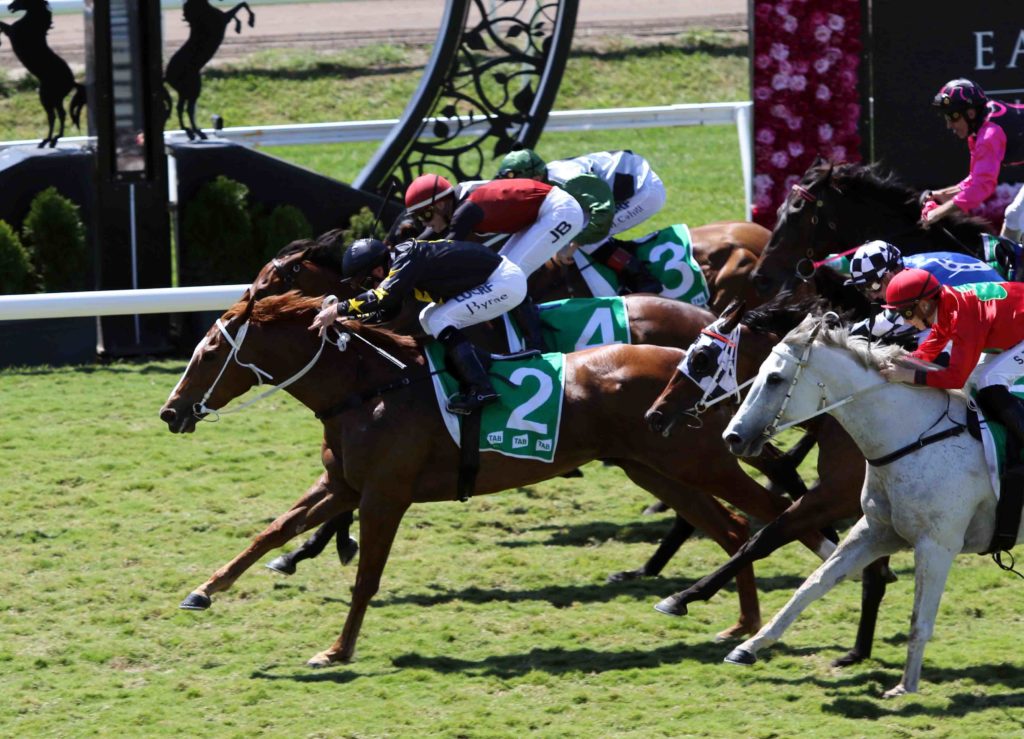 eagle farm race 1- La Scopa 1 | Just Horse Racing