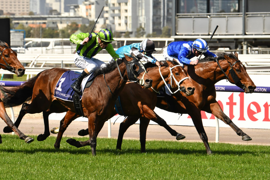Alfarris | Just Horse Racing