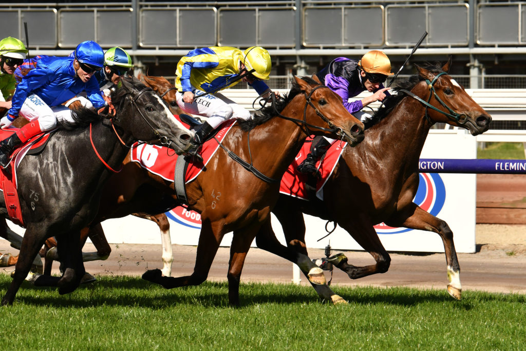 Legionnaire | Just Horse Racing