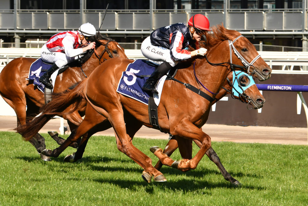 Dalasan | Just Horse Racing