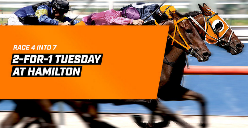 2_For_1_Hamilton | Just Horse Racing