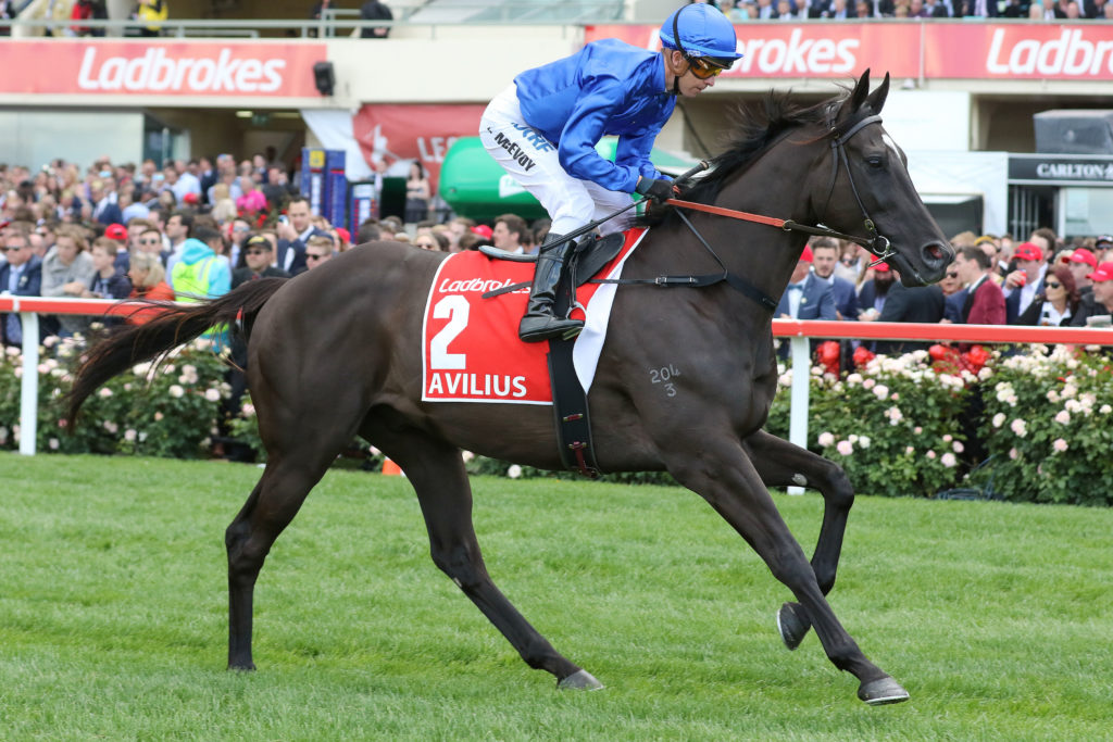 cox plate 2022 betting on sports