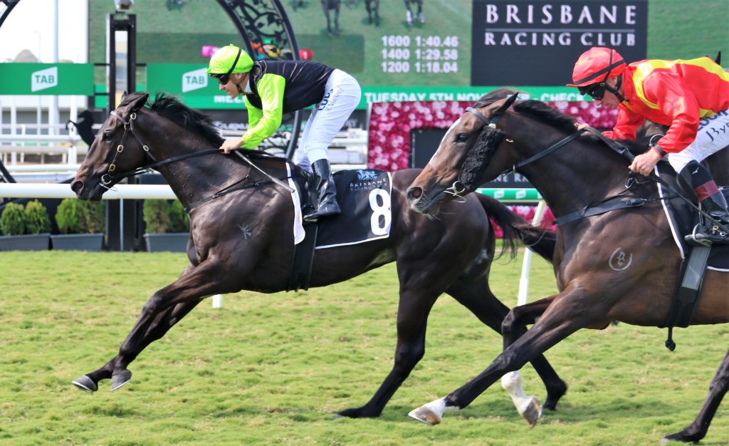 Bering Sea (1) | Just Horse Racing