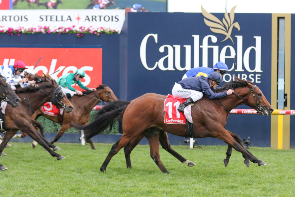 Cape Of Good Hope,Ladbrokes Stakes,Group 1_12-10-2019_WIN_Caulfield_7__1399 | Just Horse Racing