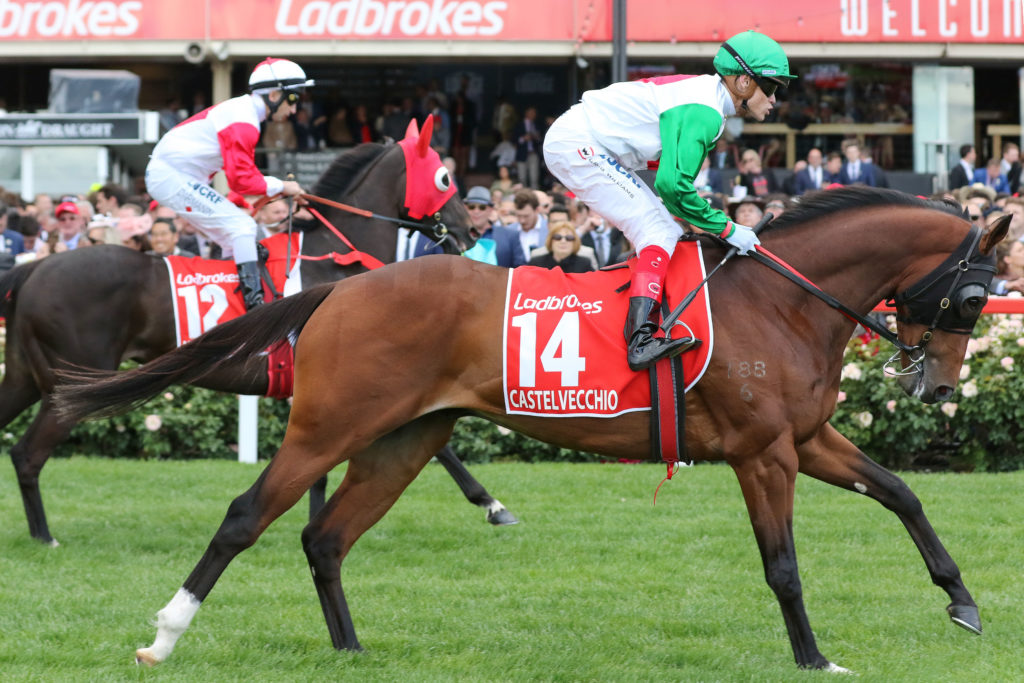Castelvecchio_26-10-2019_GEN_Moonee Valley__429 | Just Horse Racing