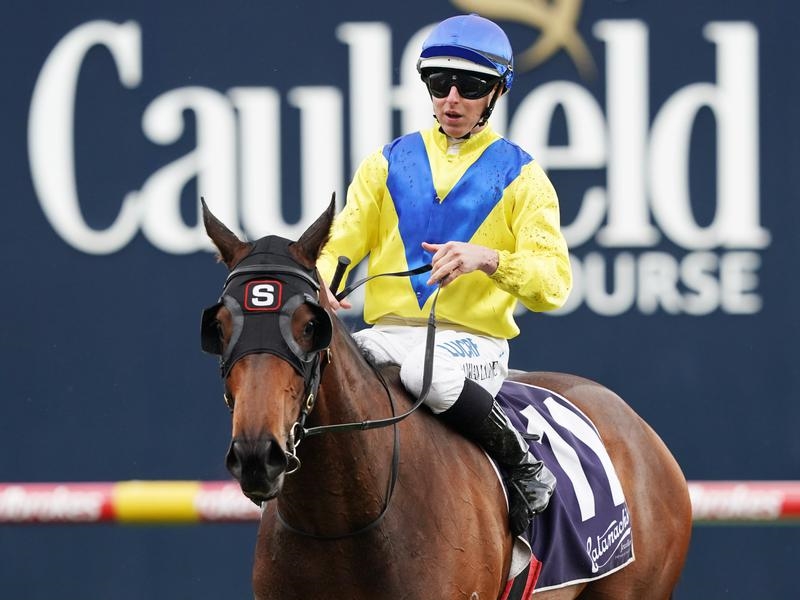 Caulfield | Just Horse Racing