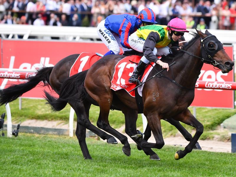 Caulfield Chosen | Just Horse Racing