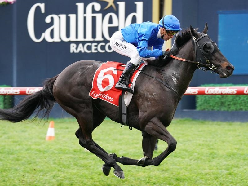 Caulfield Haunted | Just Horse Racing