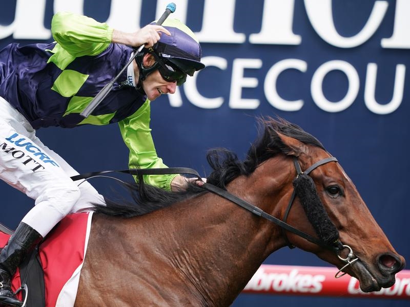 Caulfield Humma | Just Horse Racing
