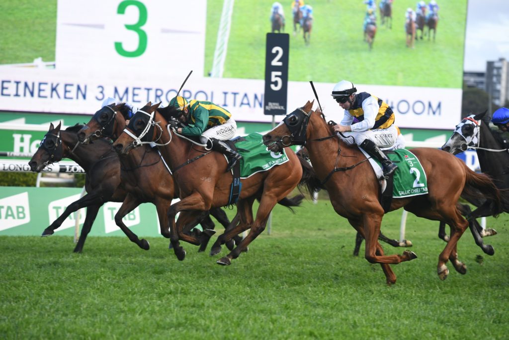 Come Play With Me 051019 0931 | Just Horse Racing