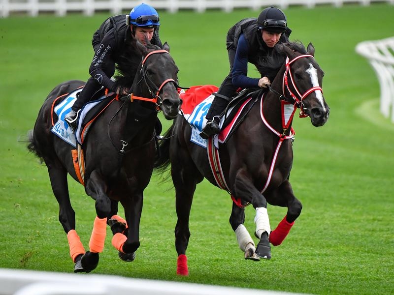 Cox Plate Japan | Just Horse Racing
