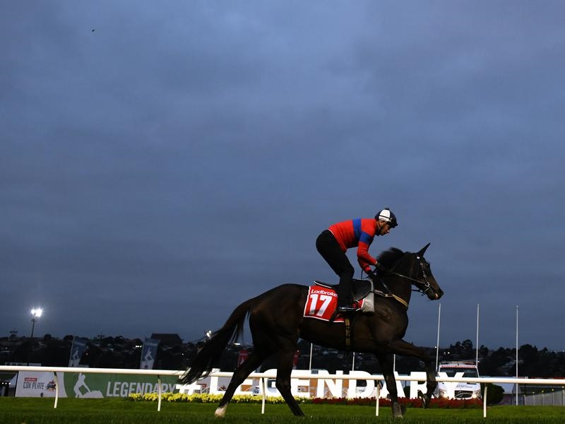 Cox Plate McDonald | Just Horse Racing
