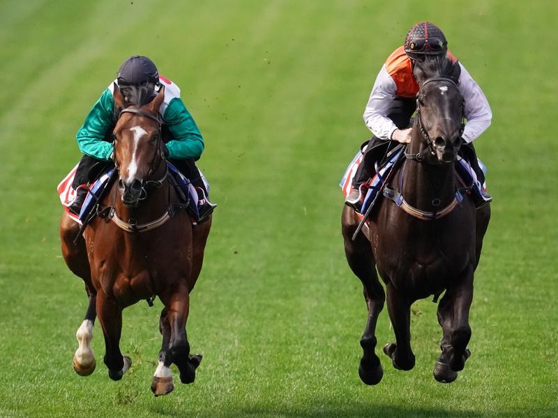 Cox Plate Williams | Just Horse Racing